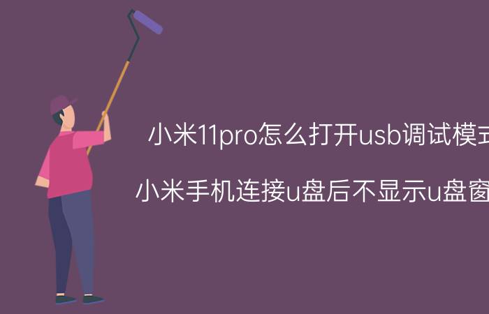 小米11pro怎么打开usb调试模式 小米手机连接u盘后不显示u盘窗口？